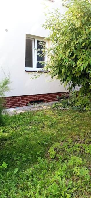 קטוביץ Apartment Rajzefiber - Spodek - Mck - Nospr מראה חיצוני תמונה